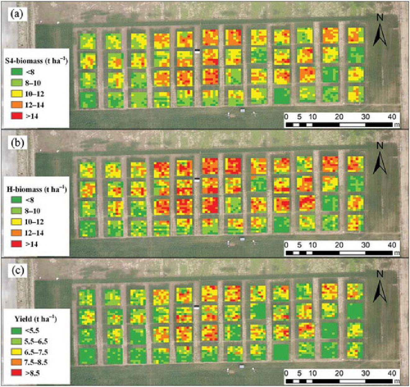 Biomass Production Estimation · Deepfaces